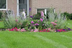 Front Yard Island Garden Front Yard Diy Backyard Landscaping Front Yard Landscaping