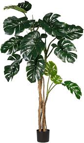 Kunstpflanze Splitphilodendron Creativ Green Hohe 170 Cm Online Kaufen Otto Kunstpflanzen Kunstliche Zimmerpflanzen Pflanzen