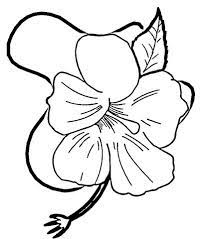 Free printable flower coloring pages for s 54. Click To See Printable Version Of Hibiscus Flower Coloring Page Flower Coloring Sheets Printable Flower Coloring Pages Coloring Pages