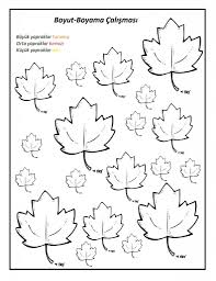 Yapraklarla Matematik Etkinlikleri Matematik Calisma Sayfalari Matematik Alfabe Calisma Sayfalari Boyama Sayfalari