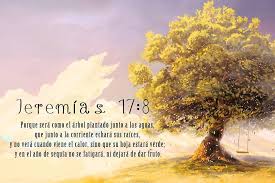 Pin En 1 Palabras De Dios Word Of God