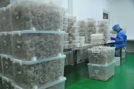 The digital wallet also helps businesses to accept global payments. Ekspor Sarang Walet Sumut Ke Enam Negara Raup Rp24 29 M