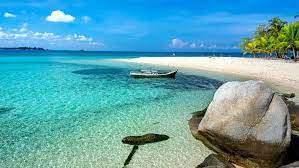Komodo merupakan spesies biawak terbesar didunia dan saat ini komodo dilindungi karena jumlahnya yang semakin sedikit. Belum Terjamah 5 Pantai Di Indonesia Ini Masih Asri Banget