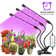 In house support staff · original lighting · free shipping over $50 Buy Led Plants Grow Light Usb Phyto Lamp Full Spectrum With Control For Plants Seedlings Flower Indoor Grow Box At Affordable Prices Free Shipping Real Reviews With Photos Joom