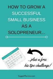 What Is A Solopreneur Definition Of Solopreneur Vs Entrepreneur Solopreneur Small Business Success Business Blog