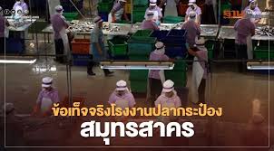 นิยายจากกระทู้ดัง กึ่งจริง กึ่งแต่ง ในลงเว็บบอร์ด ฟ้าเดียวกัน มีทั้งหมด 199 ตอน พร้อม คำนิยม จากบทความของ สมศักดิ์ เจียมธีรสกุล (ไฟล์ pdf จัดหน้า. Q2fj X2uyxhvlm