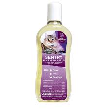 The citrus in lemon juice kills and repels fleas. Sentry Purrscriptions Plus Flea Tick Shampoo For Cats Kittens Petco Cat Fleas Flea And Tick Cat Shampoo