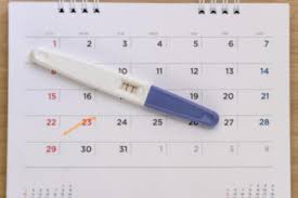 Ab wann kann man schwangerschaftstest machen? Ab Wann Kann Man Einen Schwangerschaftstest Machen
