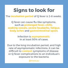 Image result for Q Fever