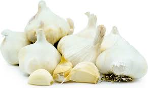 garlic information recipes and facts
