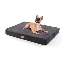Brunolie Balu Hundebett Waschbar Orthopadisch Und Rutschfest Hundekissen Mit Kuscheligem Plusch Grosse M Dunkelgrau Hunde Kissen Hundekissen Hunde Bett