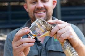 Australian Reptile Park