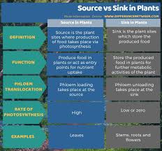 difference between source and sink in