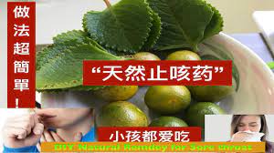 健脾 開胃 止咳化痰 不用8元製作教學 一步一步做给你看 diy natural remdey for relief cough and phlegm youtube natural cough remedies diy natural products natural medicine