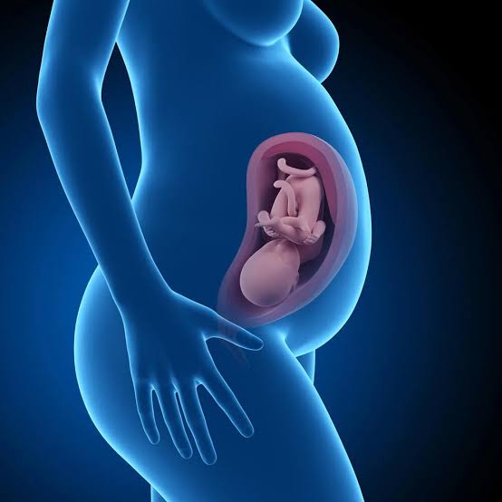 A evolução da gravidez: 30ª a 34ª semana de gestação - BedMed
