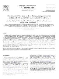 Image result for Discopodium penninervium