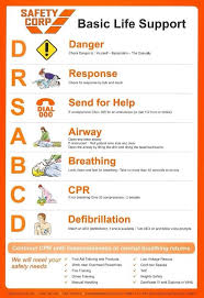 The basic cardiac life support course was renamed basic life support course and shortened to one day. Basic Life Support Tular Medical Mythbusters Malaysia Facebook