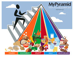 The 5 Food Groups Chart Best Picture Of Chart Anyimage Org