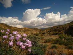 The unification of the mojave has begun. 37 Places Mojave Ideen Wuste Wustenhauser Kalifornien Reise