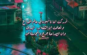 عبارات عن الخداع ليدي بيرد