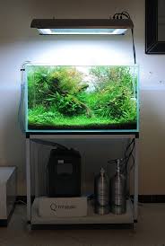 Les Paysages De Aquateddy Aquarios Ideias De Aquario Aquario Plantado