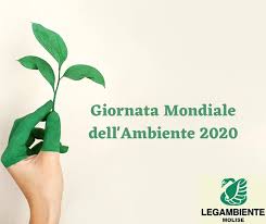 La giornata mondiale dell'ambiente ricorda a tutti che biodiversità significa coesistenza sinergica tra forme di vita diverse in ecosistemi che le ospitano e la celebrazione della giornata mondiale dell'ambiente vuole ribadire l'importanza della natura che fornisce ossigeno, purifica l'acqua, rende. Giornata Mondiale Dell Ambiente 2020 L Appello Di Legambiente Molise