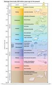 Encyclopaedia Britannica Poster Print Wall Art Print Entitled Timeline Of Animals None Astronomyarticles Geologic Time Scale Geology Earth Science