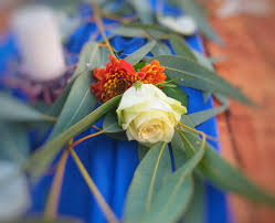 We did not find results for: The Challanges Of Getting Cut Flowers Without Local Flower Farms