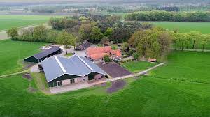 Ruim 11 000 Kilo Meetmelk Met Nog Geen 20 Kilo Krachtvoer Per 100 Kilo Melkvee Nl Nieuws En Kennis Voor De Melkveehouder