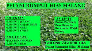 Tersedia rumput sintetis tipe jepang dan swiss. Supplier Jual Rumput Taman Terlengkap Tlp 62 857 3259 0133 Supplier Posts Facebook