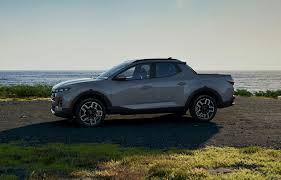 Image result for Hampton Gray 2022 Santa Cruz