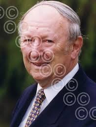 34210606-Nostalgia Robert Rowden