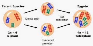 When your ride your scooter across the sidewalk, you kill some of the insects in the way when you roll over them. Topic 10 3 Gene Pools And Speciation Amazing World Of Science With Mr Green