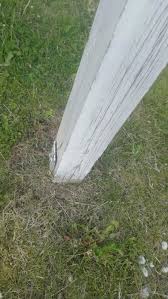 Image result for site:byggahus.se Karlskrona