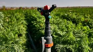 Instalare si punere in funcțiune sisteme de irigatii rivulis irrigation 25 hectare irigate prin picurare, îngropată superficial (5 cm) la cultura de porumb. Accesul La Irigare SusÈ›inut De Sua SporeÈ™te InvestiÈ›iile In Agricultura PerformantÄƒ