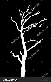 Black And White Tree Drawing Silhouette White Tree Isolated On Black Background Tree Dry Dead Silhouette White Black Isolate Isolated Wood Tree Silhouette Tree Drawing White Tree