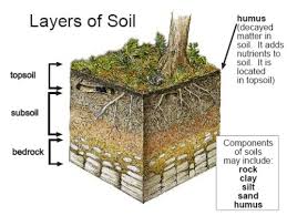 There are specialists who insist on using narrowly defined technical definitions of almost anything of course. Soil Or Dirt Why Is It Important Conestoga Stone