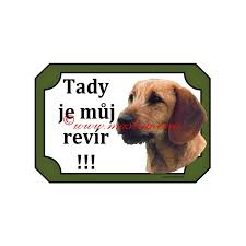 Image result for štýrský brakýř