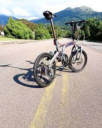 Colorplus X Birdy Indigo Le Folding Bike Bikepacking Bicycle