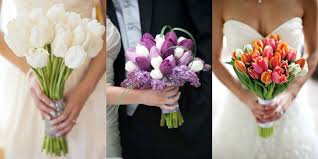 images?q=tbn:ANd9GcRTQuEzCBp_UWLao1_Zvbg