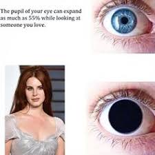 Discussion posts that do not foster discussion, low quality images/badly cropped memes, short reaction posts/rants/showerthoughts. 8 Lana Del Rey Memes Ideas Lana Del Rey Memes Lana Del Rey Lana Del