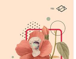 Which room amenities are available at bunga raya island resort? Amirul Aqid Ahmad Ramli On Behance