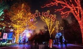 Night Of The Living Zoo Best Christmas Lights Zoo Lights Best Christmas Light Displays