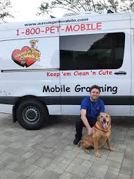 This was my experience working for the brevard county branch, and it caused a lot of safety issues as well as miscommunications between the owner, the groomers. Aussie Pet Mobile Ventura County Pet Groomer Facebook 224 Photos