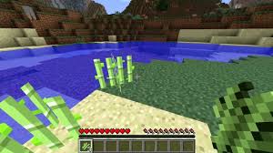 Its time to tackle the age old myth, the one that never goes away! Sugar Cane Official Minecraft Wiki