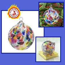 Image result for Diaphananthe sp.no.1. (Ball 657)