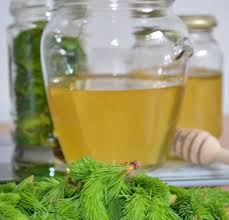 Este bine de ştiut că siropul nu se bea ca orice suc. Miere Cu Muguri De Brad Un Elixir Cu Puteri Exceptionale Frunza Verde