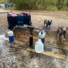 Maybe you would like to learn more about one of these? God S Acre Healing Springs Blackville Sc