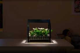 The ikea indoor garden collection consists of different kits, each of which includes everything you need to set up a hydroponics garden. Ikea Enters Hydroponic Systems Garden Culture Magazine