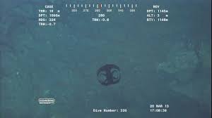 Share a gif and browse these related gif searches. Alien Looking Creature Transforming Near Ocean Floor At Over 3700 Feet Video From Rov Youtube
